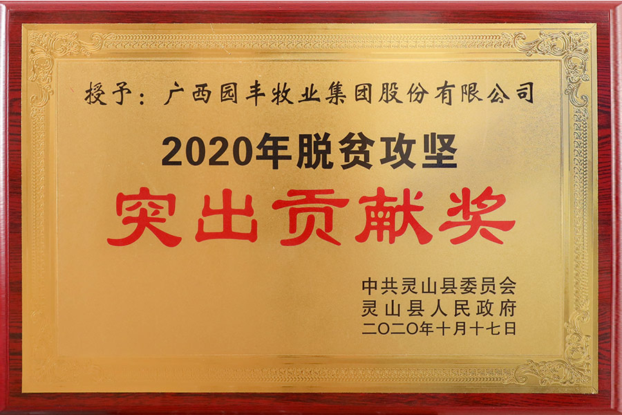 2020年10月17日 2020年脫貧攻堅突出貢獻獎