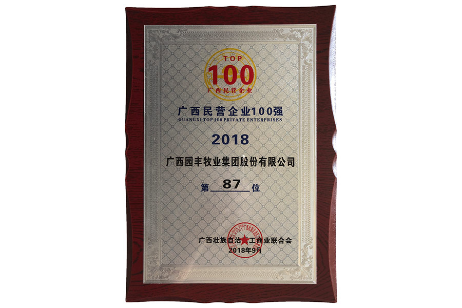 廣西民營企業(yè)100強第87位